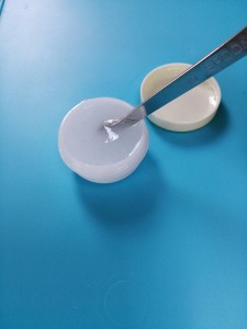 10520483_1435886243350018_1114851720_n