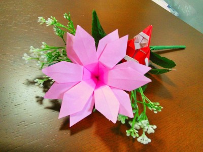 10850075_575259655937285_2762753893124446169_n[1]